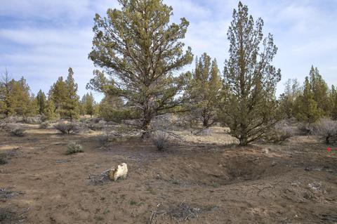 18024 Cascade Estates Dr, Bend, OR 97703 photo 11