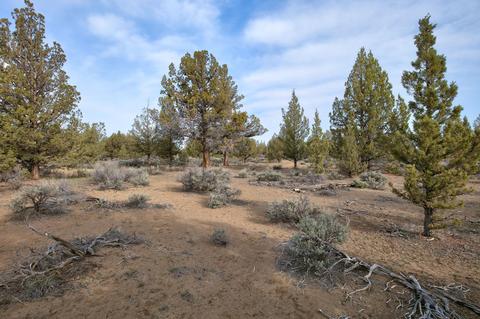 18024 Cascade Estates Dr, Bend, OR 97703 photo 24