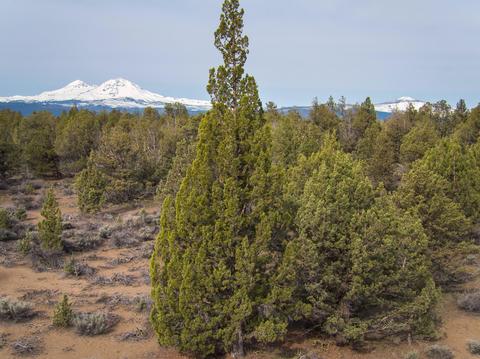 18024 Cascade Estates Dr, Bend, OR 97703 photo 16