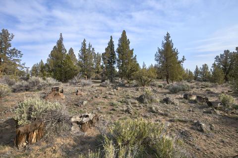 18024 Cascade Estates Dr, Bend, OR 97703 photo 8