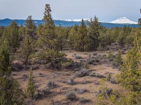 18024 Cascade Estates Dr, Bend, OR 97703 photo 17