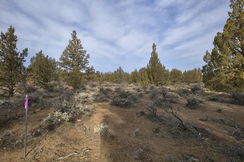 18024 Cascade Estates Dr, Bend, OR 97703 photo 21
