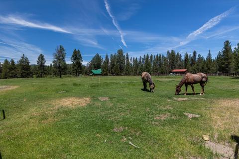 152212 Hackamore Ln, La Pine, OR 97739 photo 88