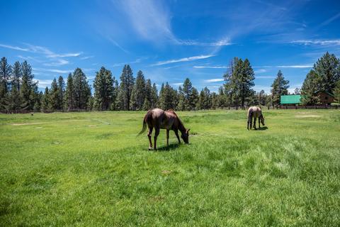 152212 Hackamore Ln, La Pine, OR 97739 photo 87