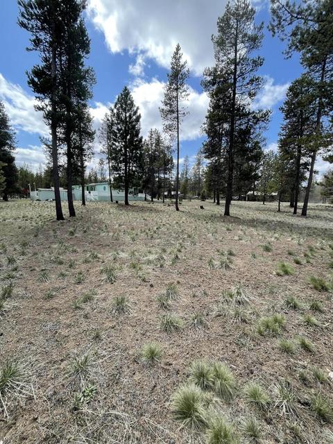 52678 Pine Dr, La Pine, OR 97739 photo 10