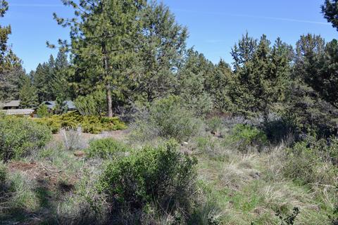 61149 Sidewinder Ln, Bend, OR 97702 photo 11