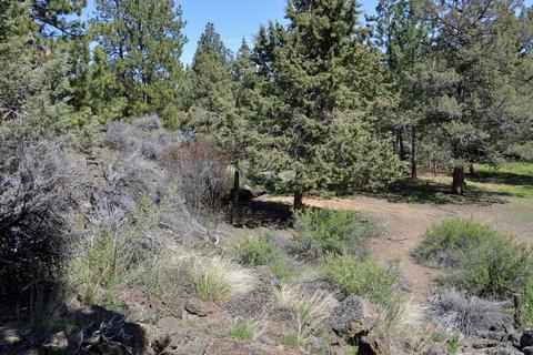 61149 Sidewinder Ln, Bend, OR 97702 photo 10