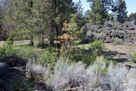 61149 Sidewinder Ln, Bend, OR 97702 photo 7