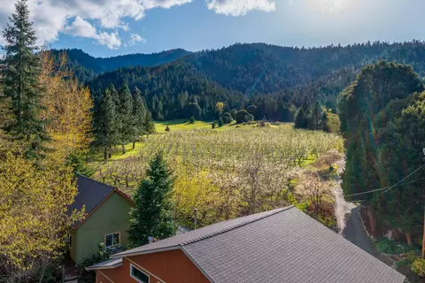 9530 Thompson Creek Rd, Applegate, OR 97530 photo 7