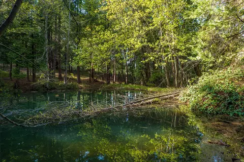 9530 Thompson Creek Rd, Applegate, OR 97530 photo 68