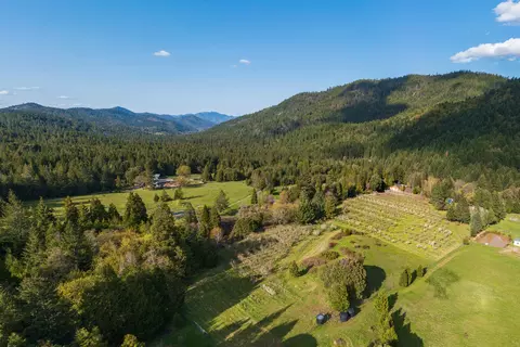 9530 Thompson Creek Rd, Applegate, OR 97530 photo 4