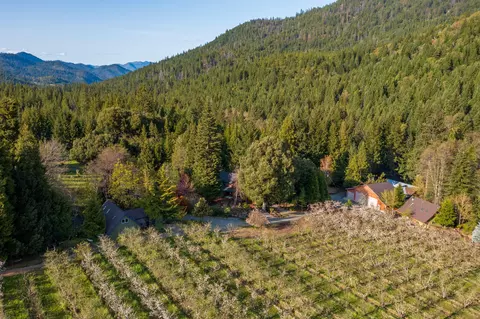 9530 Thompson Creek Rd, Applegate, OR 97530 photo 5