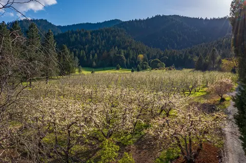 9530 Thompson Creek Rd, Applegate, OR 97530 photo 8