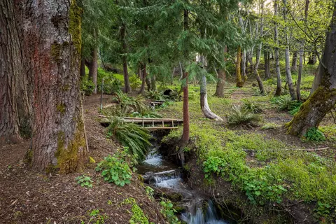 9530 Thompson Creek Rd, Applegate, OR 97530 photo 9