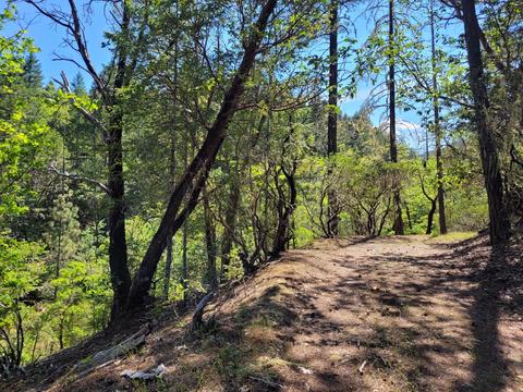 6277 W Side Rd, Cave Junction, OR 97523 photo 7