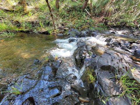 6277 W Side Rd, Cave Junction, OR 97523 photo 19