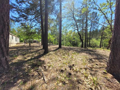 6277 W Side Rd, Cave Junction, OR 97523 photo 2