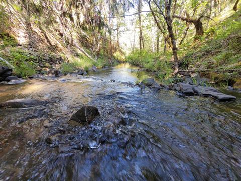 6277 W Side Rd, Cave Junction, OR 97523 photo 1