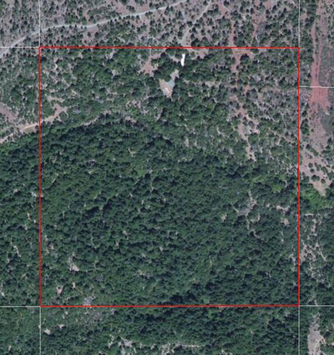6277 W Side Rd, Cave Junction, OR 97523 photo 15