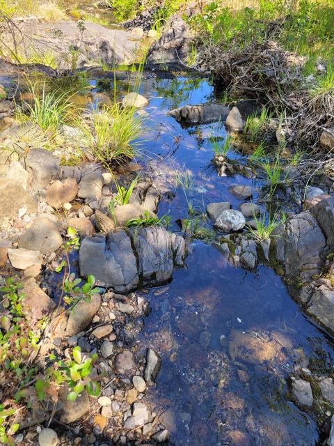 6277 W Side Rd, Cave Junction, OR 97523 photo 12