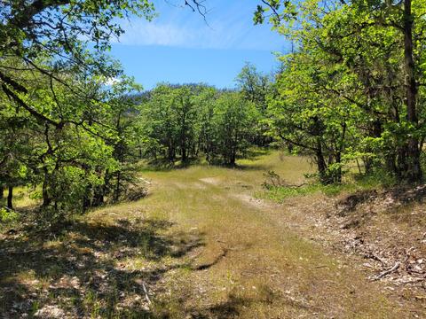 6277 W Side Rd, Cave Junction, OR 97523 photo 3