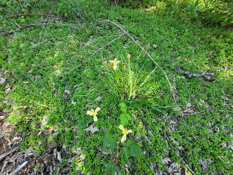 6277 W Side Rd, Cave Junction, OR 97523 photo 16