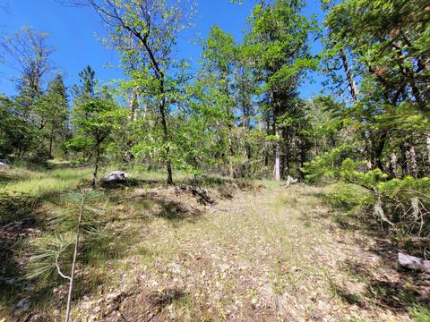 6277 W Side Rd, Cave Junction, OR 97523 photo 17