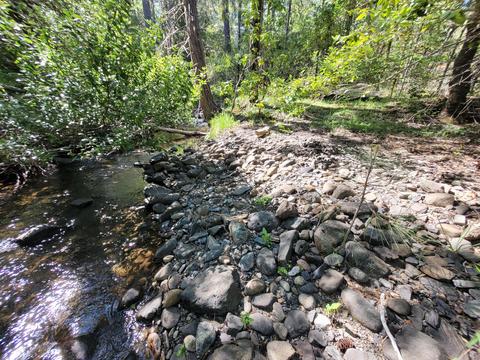 6277 W Side Rd, Cave Junction, OR 97523 photo 6