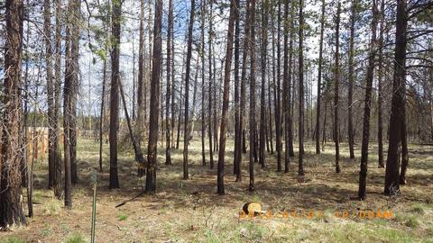 53061 Loop Dr, La Pine, OR 97739 photo 1