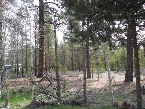 956 Hackett Dr, La Pine, OR 97739 photo 3