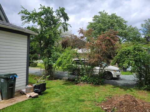 288 2nd St, Glendale, OR 97442 photo 33