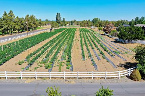 18615 Pinehurst Rd, Bend, OR 97703 photo 7