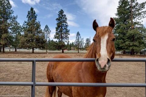 60385 Shaw Rd, Bend, OR 97702 photo 7