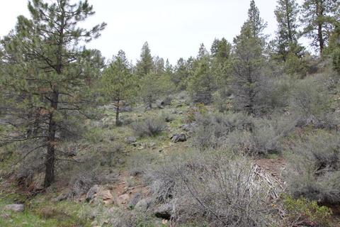 White Tail Lane Lot 19, Bonanza, OR 97623