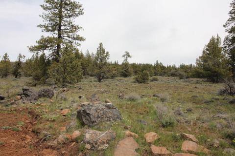 Bluejay Drive LOT 12, Bonanza, OR 97623