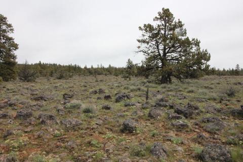 Bluejay Drive LOT 11, Bonanza, OR 97623
