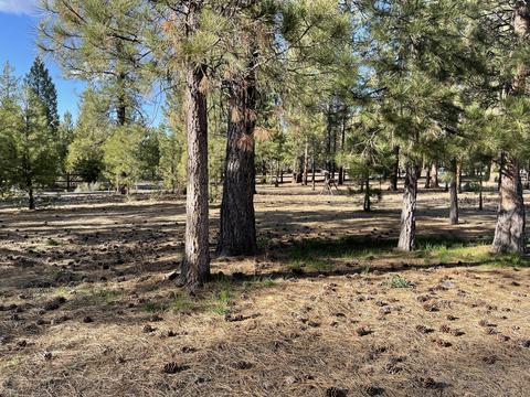 15647 Cornell Dr, La Pine, OR 97739 photo 10