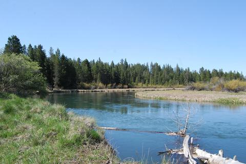 16305 Bear Ln, Bend, OR 97707 photo 12