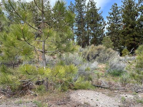 133 SW 17th St, Bend, OR 97702