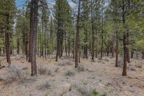 51873 Pine Loop Dr, La Pine, OR 97739 photo 13