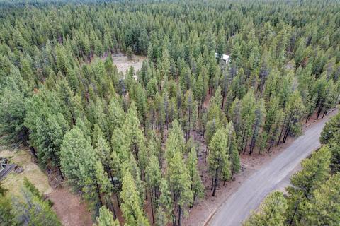 51873 Pine Loop Dr, La Pine, OR 97739 photo 6