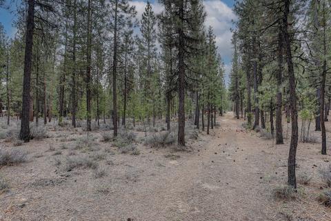 51873 Pine Loop Dr, La Pine, OR 97739 photo 5