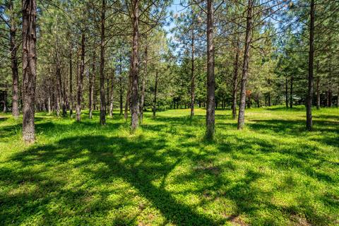 4137 Thompson Creek Rd, Applegate, OR 97530 photo 45