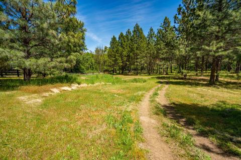4137 Thompson Creek Rd, Applegate, OR 97530 photo 54