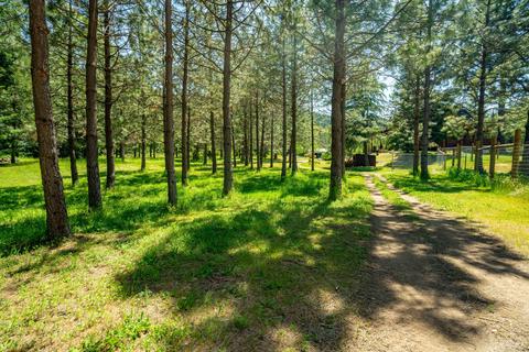 4137 Thompson Creek Rd, Applegate, OR 97530 photo 46