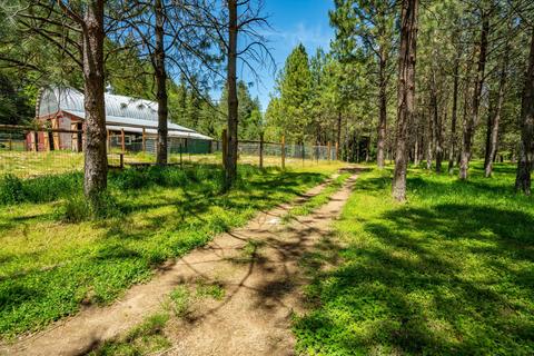 4137 Thompson Creek Rd, Applegate, OR 97530 photo 44