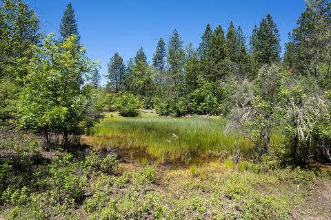 2008 Stringer Gap Rd, Grants Pass, OR 97527 photo 35