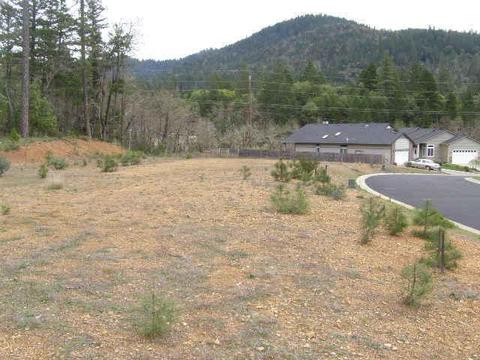 341 Cedar Rdg, Cave Junction, OR 97523 photo 5