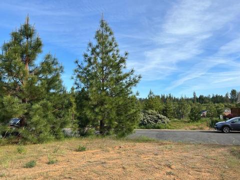 341 Cedar Rdg, Cave Junction, OR 97523 photo 11