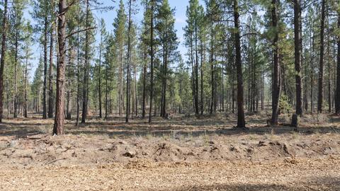 56373 Mirror Rock Loop, Bend, OR 97707 photo 1